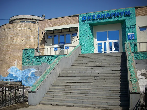 Фото: Владивостокский океанариум